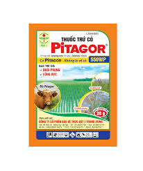 Pitagor 550WP
