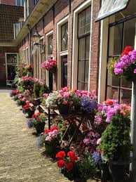 Groningen Groningen Nederland Hofjes