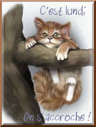 Résultat de recherche d'images pour "bonne semaine chats"