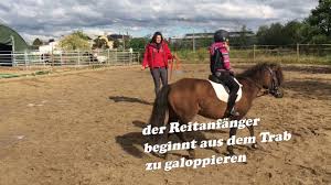 We did not find results for: Reiten Lernen Mit Der Ponytruppe Teil 11 Der Galopp Youtube