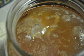 Tidak hanya itu saja, sekarang ini banyak orang yang pandai akan tetapi kepandian. Http Happyscoby Blogspot Com 2016 02 3 Langkah Hasilkan Kombucha Html