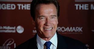 Is mel gibson the father of jodie foster's children? Stars With High Iqs Cbs News