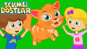 Kedi Miyav Dedi Ve Sevimli Dostlar Ile 75 Dakika Cizgi Film Cocuk Sarkilari Youtube