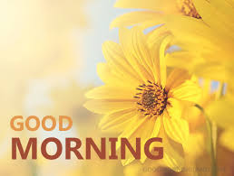 Maybe you would like to learn more about one of these? Yellow Flowers Images With Good Morning Atomussekkai Blogspot Com