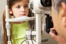 Chimps Are Family' leaves Kingston