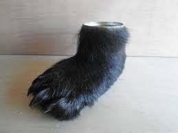 本物 ヒグマの足 ペン立て 熊の手 ひぐま 剥製 羆 北海道 熊爪