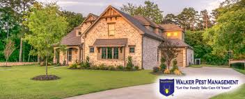 Sorry, we are having trouble with that url right now. Spring Pest Control Tips For 2019 South Carolina Home Owners