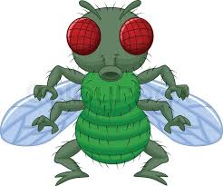 Ralph wolf and sam sheepdog are characters in a series of animated cartoons in looney tunes and merrie melodies. Vector Illustration Of Fly Cartoon Stock Vector Colourbox