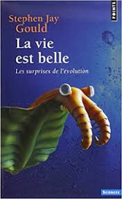La vie sur terre remonte à plus longtemps qu'on ne le pensait, selon des chercheurs australiens qui s'appuient sur la découverte au groenland de fossiles datant d'au moins les stromatolites, hauts de 1 à 4 cm, viennent corroborer d'autres preuves génétiques qui placent l'origine de la vie à cette période. Chronologie Et Origine De La Vie Sur Terre Hominides