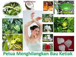 Seharusnya pilihlah daun basil yang segar kerana selain daripada menghilangkan bau badan ia juga mampu menghilangkan bau mulut. Petua Hilangkan Bau Ketiak 1 Anugerah Kecantikan Facebook