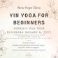 Yin Yoga with Lisa