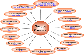 Some employers look favourably on students who have the initiative and drive to complete one. Genes Associated With Risk Of Different Cancers Download Scientific Diagram