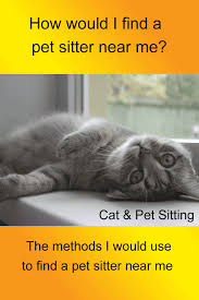 The best pet sitters near you. How Would I Find A Cat Or Pet Sitter Near Me Fairmount Pet Service Pet Sitters Dog Boarding Near Me Pets