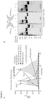 Home › products › security & protection › dual12v/24v single channel loop detector magnetic vehicle inspection device for door access control. Compositions And Methods For Adjoining Type I And Type Ii Extracellular Domains As Heterologous Chimeric Proteins Schreiber Taylor Et Al Heat Biologics Inc