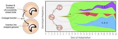 Team Identifies Mutations That Allow Bacteria To Resist