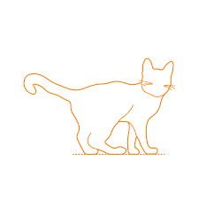 21 centimeters x 0.39370078740157 = 8.2677165354331 inches 21 centimeters is equivalent to 8.2677165354331 inches. British Shorthair Cat Dimensions Drawings Dimensions Com