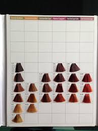 Colorly Hair Color Chart Sbiroregon Org