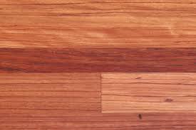 Image result for Berlinia