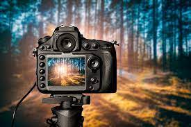 Stl News Breaking News Latest News St Louis News News Videos Best Dslr Best Camera Dslrs