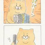 ネコノヒー 現代美術展 スキウサギ 美術展 ネコノヒー