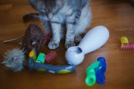 Reviews & ratings in 2021. For When Kitty S Home Alone Toys Cats Play With By Themselves