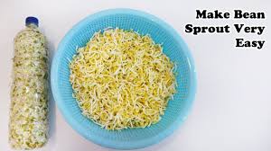 Kocok telur yang sudah ditambah sedikit bumbu samyang, selagi kamu menunggu mie masak. Cara Membuat Tauge Super Resep Tauge Goreng Khas Bogor Merdeka Com Woohoobaloo