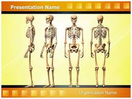 Radiological anatomy of the chest— presentation transcript 22 la lv right diaphragm left diaphragm. Free Human Skeleton Medical Powerpoint Template For Medical Powerpoint Presentations