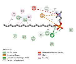 Image result for Uapaca guineensis
