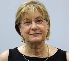 以色列特拉维夫大学Banks-Sills教授访问应力所并作学术报告