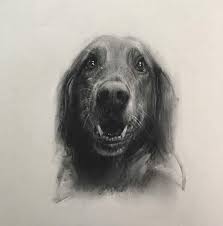 Maybe you would like to learn more about one of these? All Pets Veterinary Clinic Home Facebook