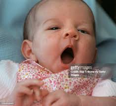 192 Brenda Michelle Photos & High Res Pictures