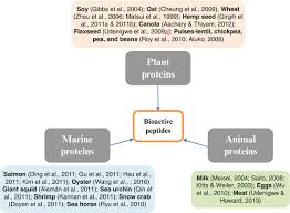 We're a team of content creators using digital avatars providing. Advances On The Production And Application Of Peptides For Promoting Human Health And Food Security Springerlink