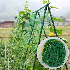 Maybe you would like to learn more about one of these? Garden Netting Nylon Trellis Net Climbing Plant Pea Bean Support Net Anti Bird Net For Plants Vegetable Cucumber Trellis 1 8 X 1 8 M Buy Online In Chile At Chile Desertcart Com Productid 194935949