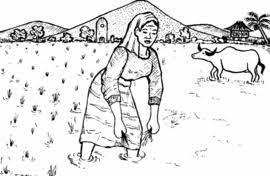 Women Are More At Risk For Disease And Poor Health Hesperian Health Guides