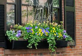 So first off, window boxes need to be installed so that they are sturdy and level. The 9 Best Window Boxes Of 2021