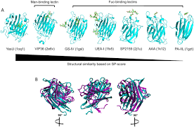 Maybe you would like to learn more about one of these? Yesu From Bacillus Subtilis Preferentially Binds Fucosylated Glycans Scientific Reports