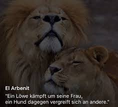 Ein Lowe Zitate Love Deutsch Spruche Lowe Zitate Lowenspruche Spruche Zitate