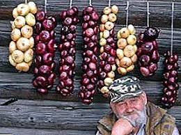 Conditions De Stockage Optimales Et Temperature De L Oignon Pour L Hiver A La Maison Et Au Stockage Pour L Hotesse In 2020 Fruit Onion Grapes