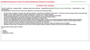 Information Security Analyst Job Experience Letter Example