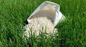 Thick'r lawn contains soil improvers for enhanced root development, seed to fill gaps with new grass, and fertilizer to feed new grass and thicken and green existing turf. Best Lawn Fertilizer 2021 Reviews