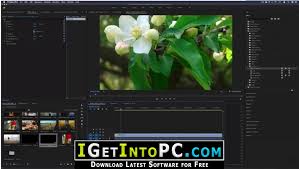 Adobe premiere pro cc 2020 free download. Adobe Premiere Pro 2020 14 0 1 71 Free Download Macos