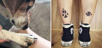 Vous avez un nouveau chien? Ces Maitres Qui Se Tatouent Les Pattes De Leurs Chiens Par Amour