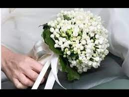 Maybe you would like to learn more about one of these? Bouvardia Wedding Bouquet Youtube