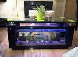 Check spelling or type a new query. Rectangular Coffee Table Aquarium For Sale In Tallaght Dublin From Kissea
