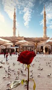 Mecque fonds d'écran application vous offre la plus belle collection d'images de fond de saint mosquée masjad e haran, al bait towers, ka'aba décorez votre smartphone avec sacrée mecque fonds d'écran! Epingle Par Nur Sur Tek Hayal Fond Decran Islam Fond Ecran Paysage Fond D Ecran Mecque