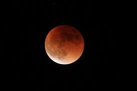 今回は、5月26日（水）に起こる皆既月食を前に、神山天文台で撮影した画像や資料を用いて、河北秀世 神山天文台長と中道晶香 教授が皆既月食についてお話しします。【出演者】河北 秀世（京都産業大学 神山天文台長／理学部 教授）中道 晶香（京都産業大学 共通教育推進機構 教. Lrg26zseincrnm