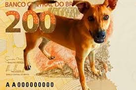 Marcas como bichinho chic, pickorruchos e luppet. Apos Repercussao Do Vira Lata Caramelo Bc Deve Fazer Campanha De Adocao Animal O Tempo