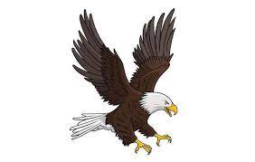 30+ gambar burung garuda pancasila kartun by. Download Sketsa Gambar Burung Elang Ini Teknik Mewarnainya