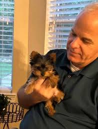 Grateful Family Thanks Donor for Yorkie Companion