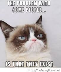 Grumpy Cat Quotes Titanic Google Search Grumpy Cat Quotes Funny Grumpy Cat Memes Funny Cat Memes